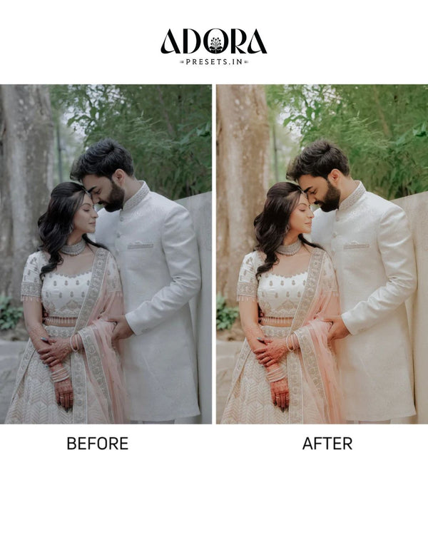 30 Indian Wedding Lightroom Presets & LUTs