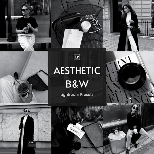 Aesthetic Black & White Lightroom Presets Hover Image