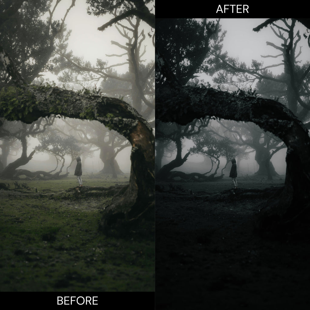 Gothic Lightroom Presets