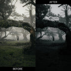 Gothic Lightroom Presets