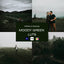 MOODY GREEN LUTs (MOBILE & DESKTOP)