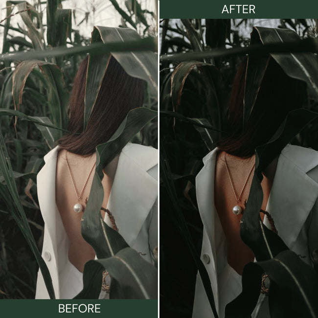 MOODY GREEN LUTs (MOBILE & DESKTOP) Main Image