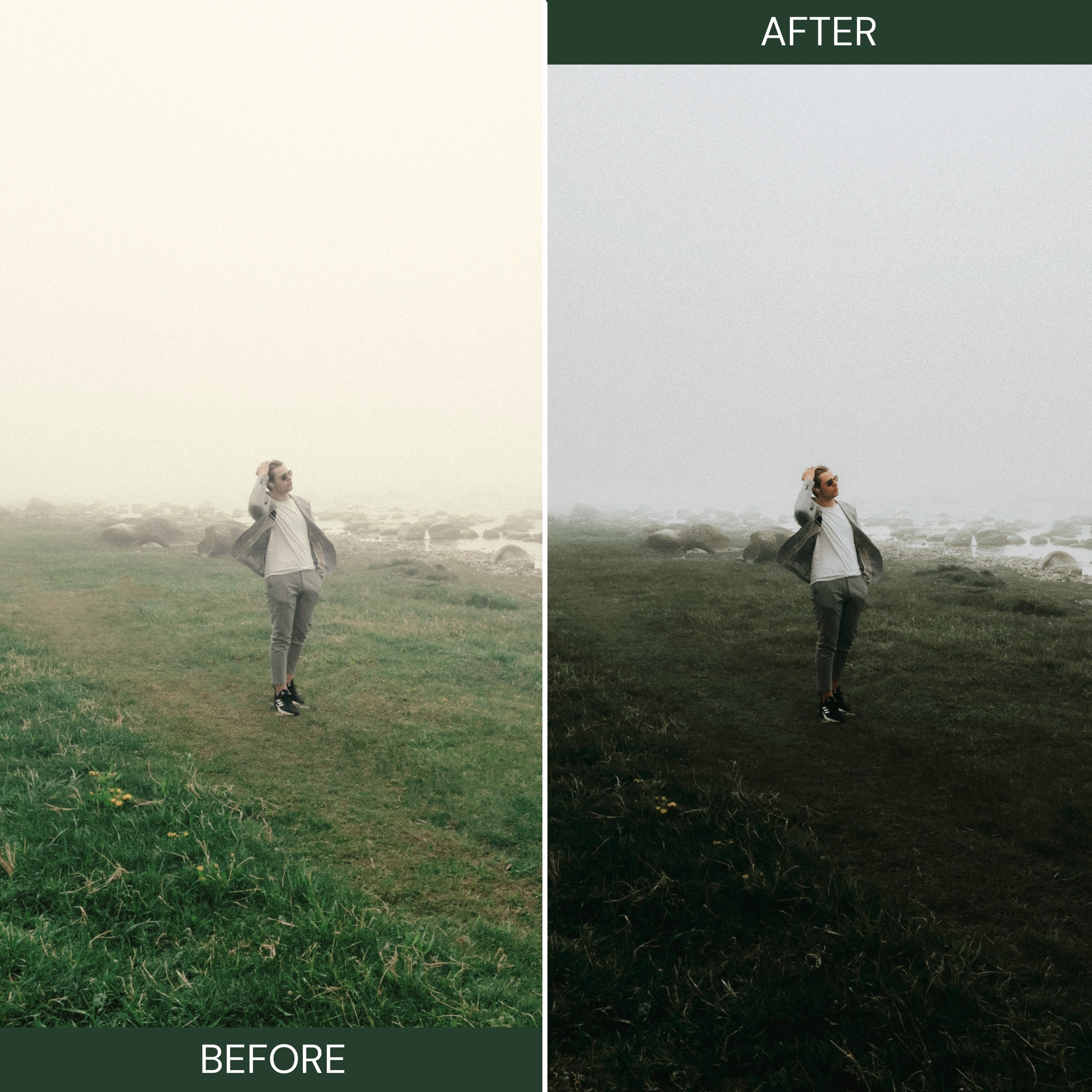 MOODY GREEN LUTs (MOBILE & DESKTOP)