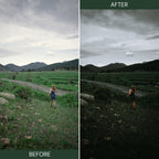 MOODY GREEN LUTs (MOBILE & DESKTOP)