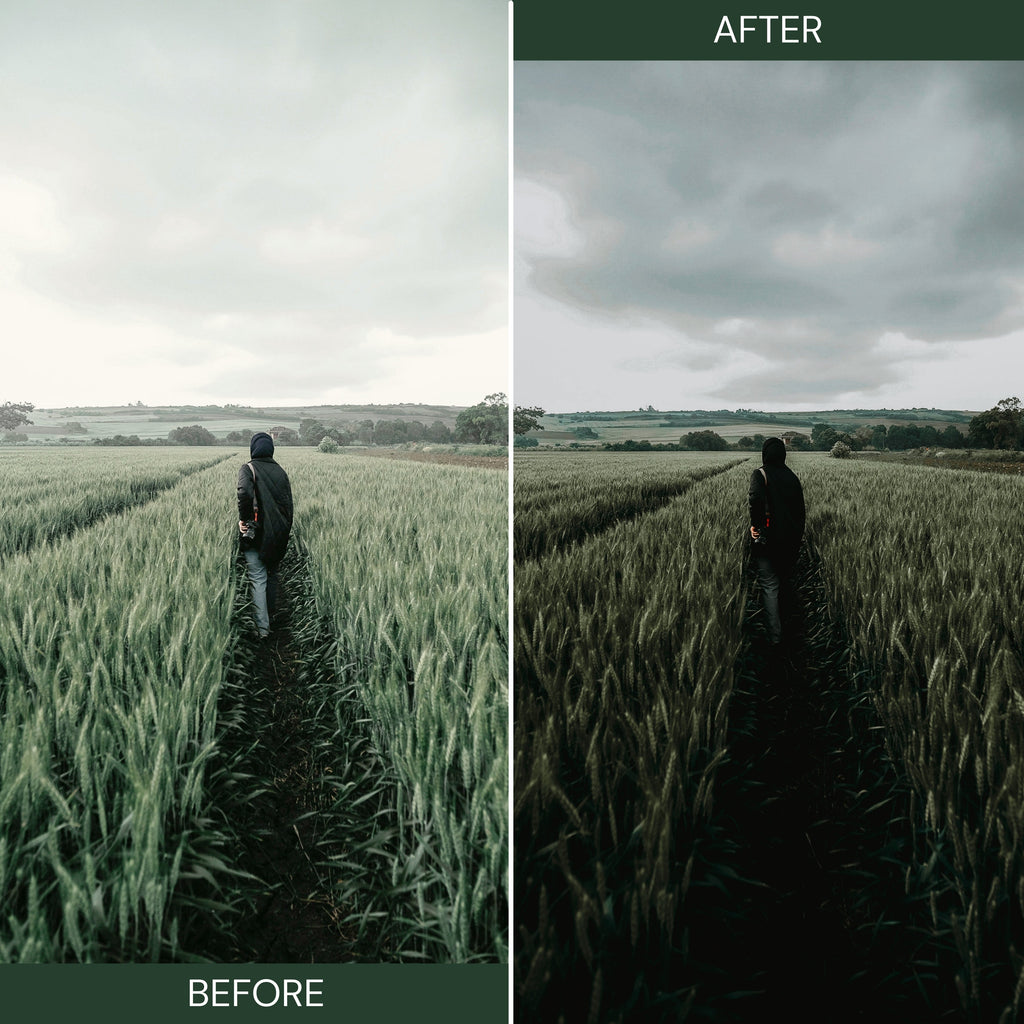 MOODY GREEN LUTs (MOBILE & DESKTOP)