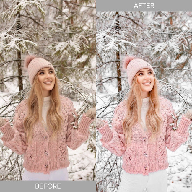 Winter Lightroom Presets Main Image
